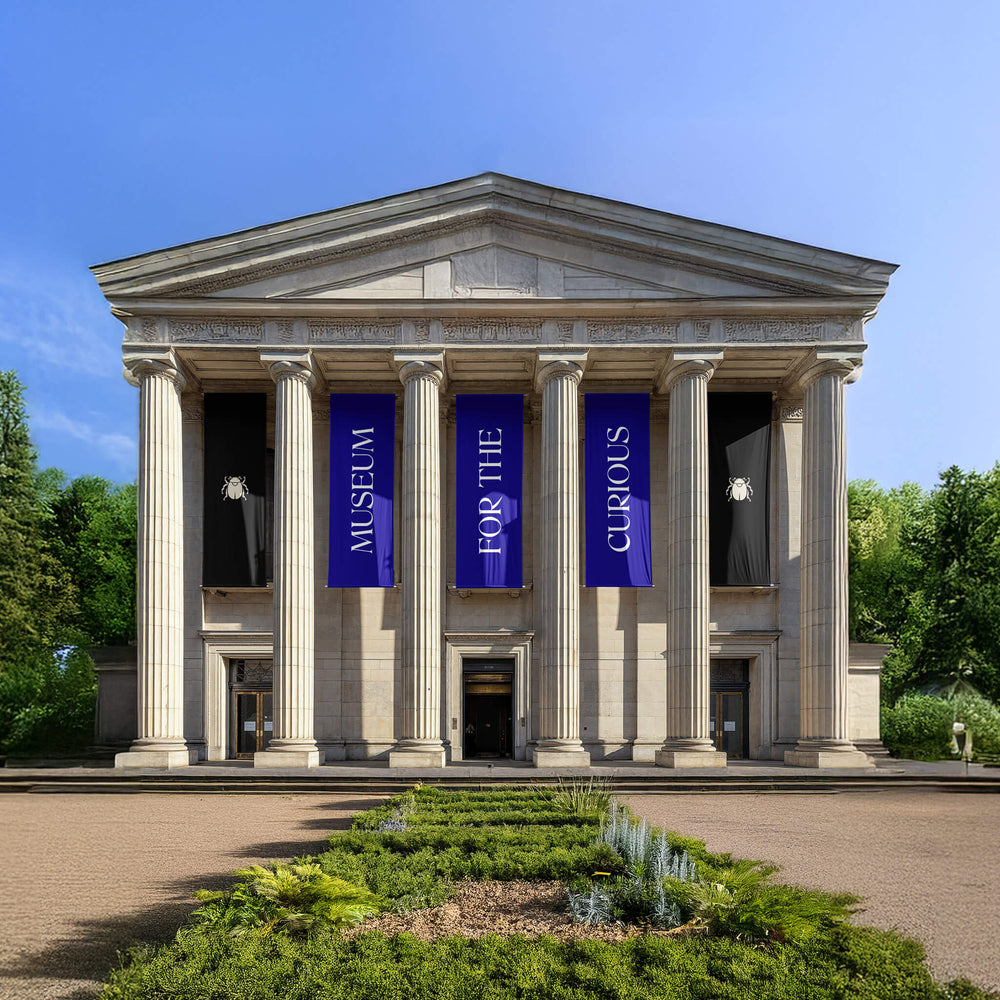A large sandstone museum stands with a blue sky and garden courtyard in the front. The flags hanging have beetle logos and the title "Museum for the Curious' in a bold serif typeface.