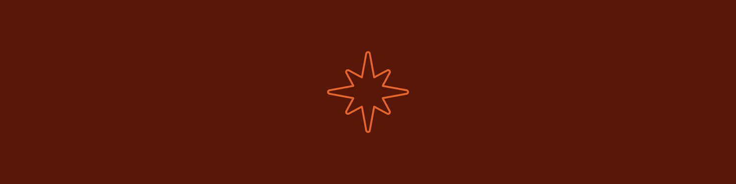 Bold psychologist logo design case study image showing the autistry star logo design. On a brown background the retro inspired logo designs shows a north star in an orange monoline. 