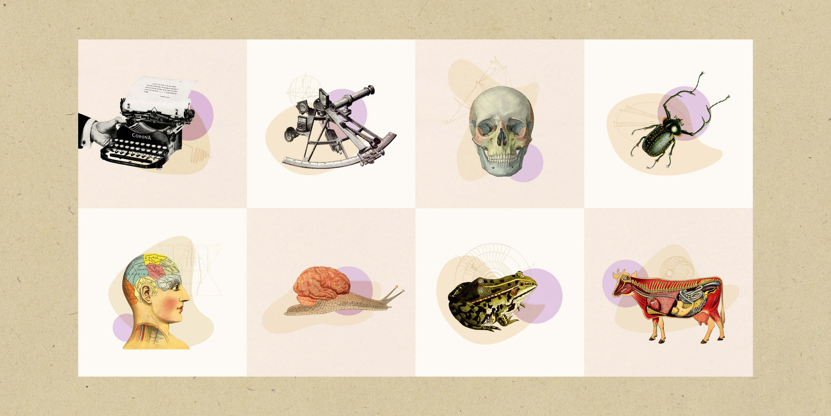 Writer rebranding case study image of the Damn Write brand collages. The images include vintage scientific inspired graphics such as a typewriter, skull, beetle, snail and toad with fine line drawings and purple blobs behind them.  