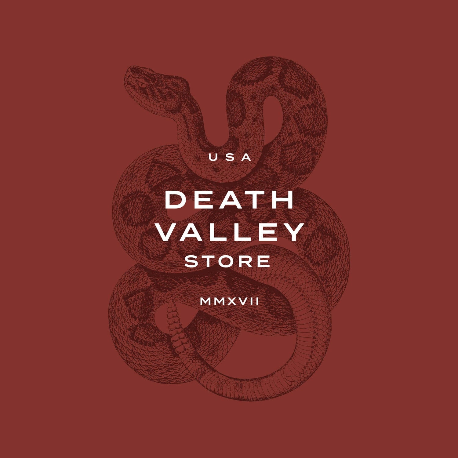 Jewelery rebranding case study image of the Death Valley Store logo. On a rich rust coloured background, the white logo is set in a sans serif and is placed over a low contrast image of a rattlesnake. 