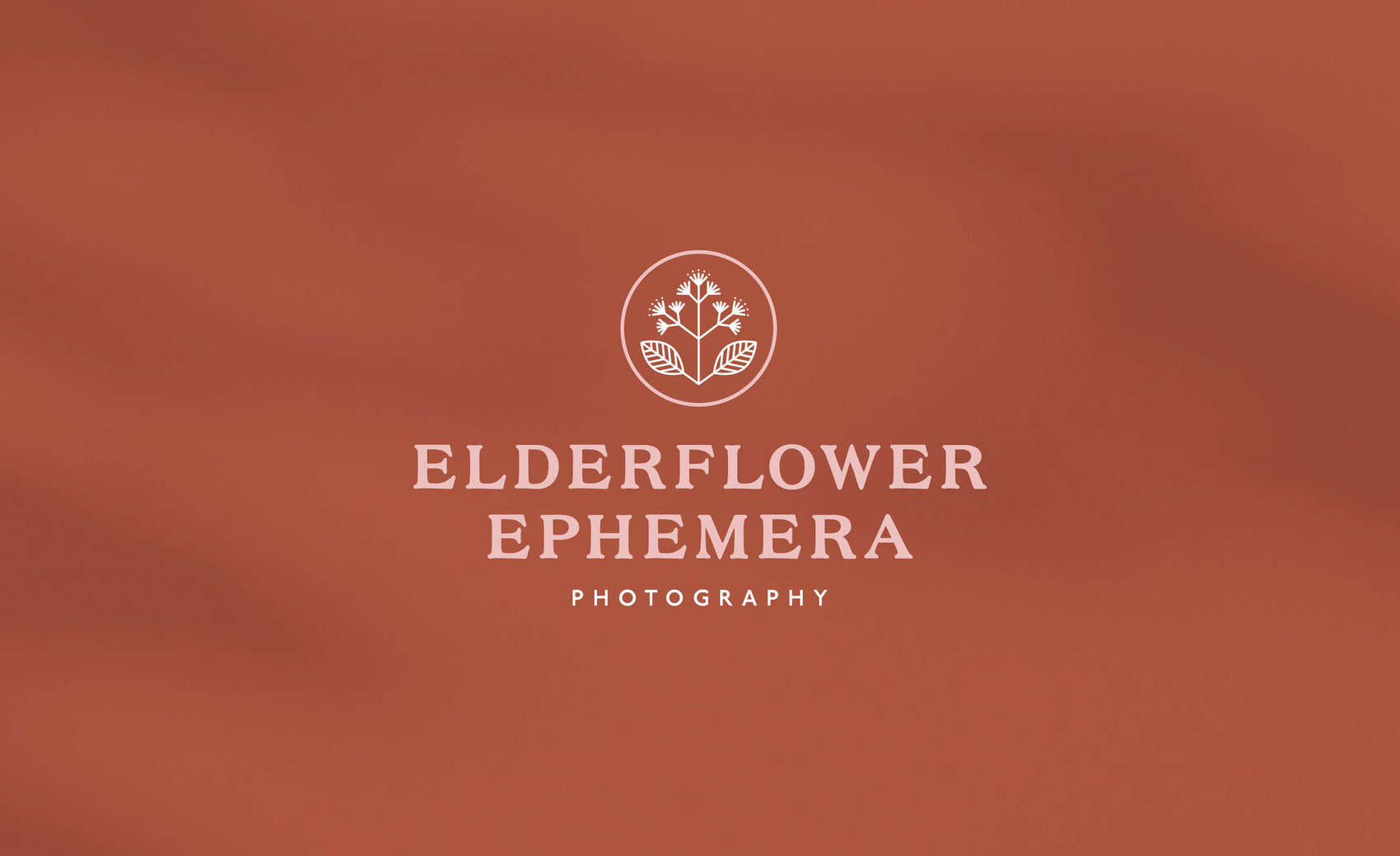 Branding case studies image of Elderflower Ephemera’s primary logo. The pink logo sits on a rust coloured background, the elegant typography style combining with a geometric flower elderflower icon.