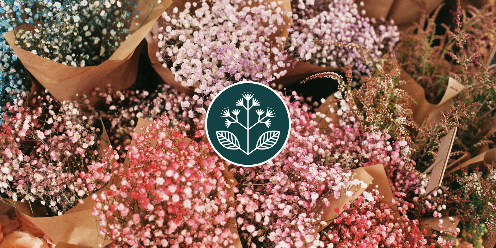 A delicate film photograph of flowers with the elderflower emblem makes for a perfect branding case studies image for Elderflower Ephemera. The green and white icon contrasts the pink tones of the flowers. 