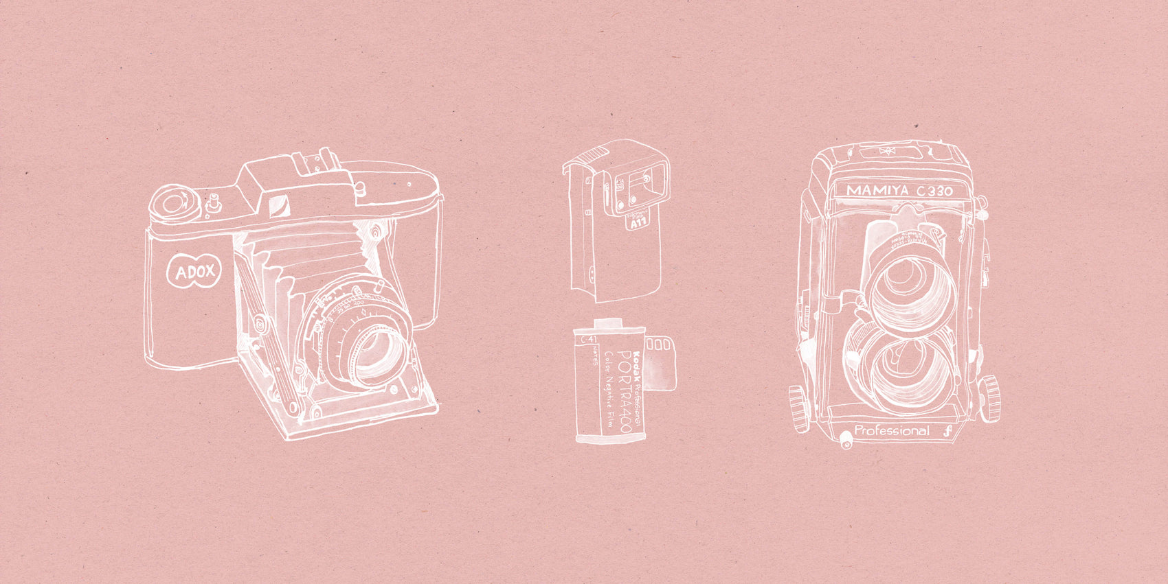 Photographer brand identity case study images of Elderflower Ephemera’s illustration style. 