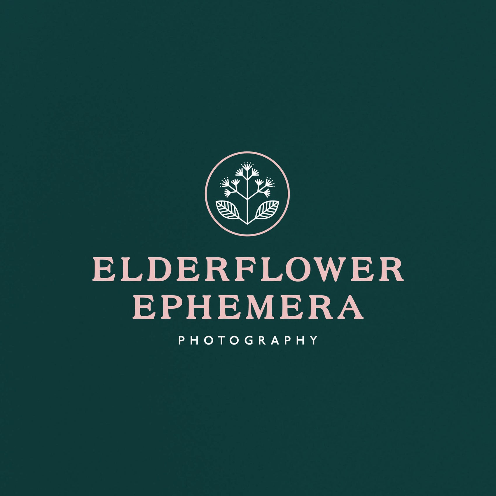 Photographer brand design inspiration image for Elderflower Ephemera, a film photographer brand. A geometric flower logo based on an elderflower sits above the pink serif logotype. 