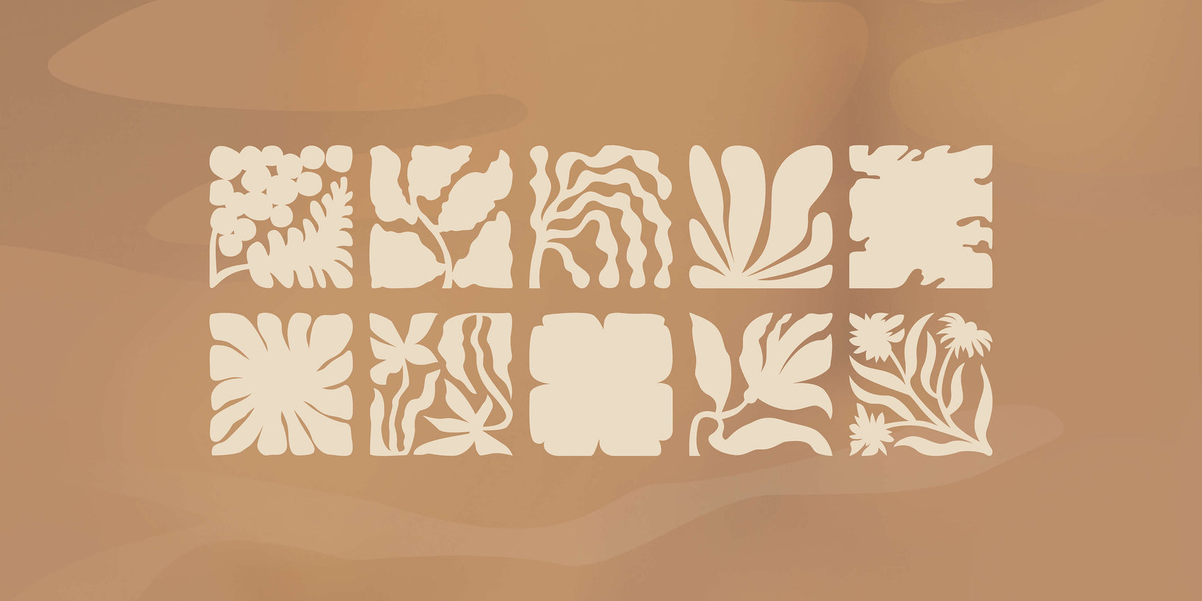 Australian photographer rebranding case study image showing a collection of the Australian flower inspired illustrations as part of the Heartstory photographer branding. With a slight mid century modern inspiration, the flower flower motifs are all vaguely square and are shown in cream on a textured tan background.