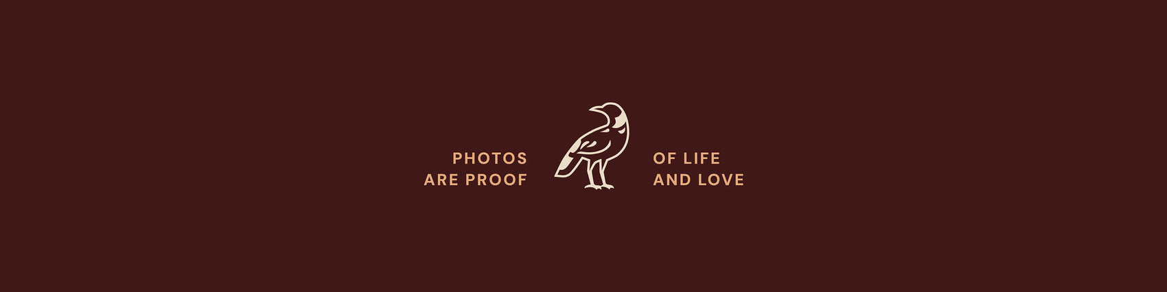 Photographer brand identity case study image of the Heartstory custom logo design. On a background of deep brown, a small cream Australian magpie logo design sits alongside some warm pink supporting typography.