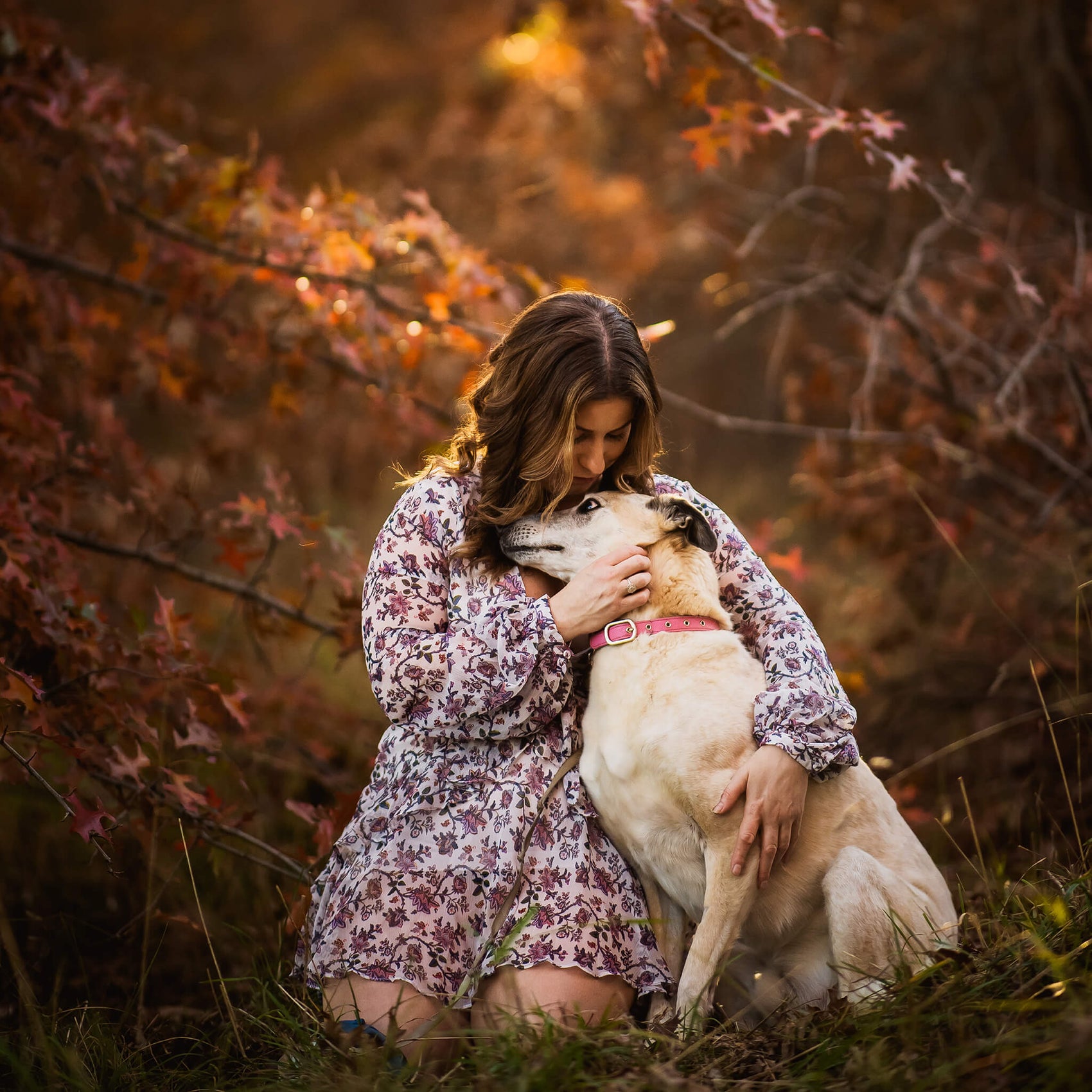 Photography logo design case study example showing imagery by Heartstory family photographers. In an autumn park background, a woman in a floral dress sits and hugs a tan coloured dog in a pink collar.