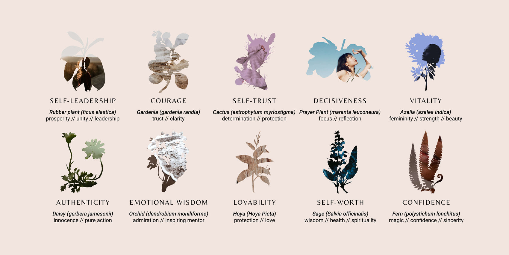 Coach brand identity examples image of the Live A Love Riot supporting graphics assets. The range of collage floral elements masks photography with each flower relating to a key value of Vicki and her coaching program. 