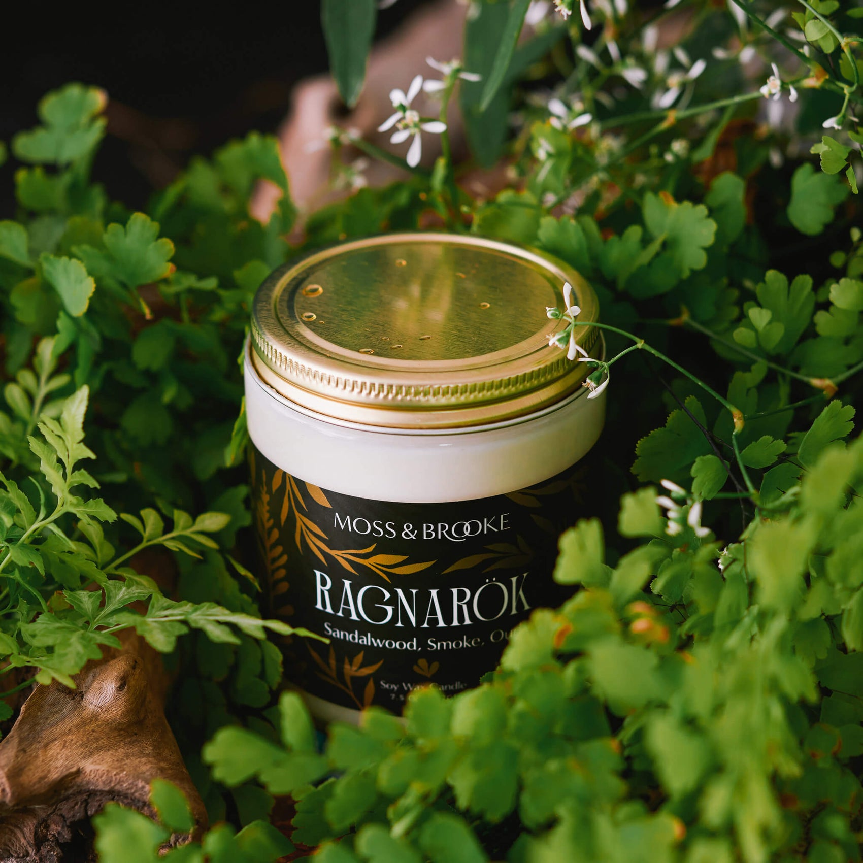 Perfume brand design example image of the Moss & Brooke candle packaging design. In a glass bottle with gold lid, the candle features gold detailing of botanicals and sits in a forest setting. 