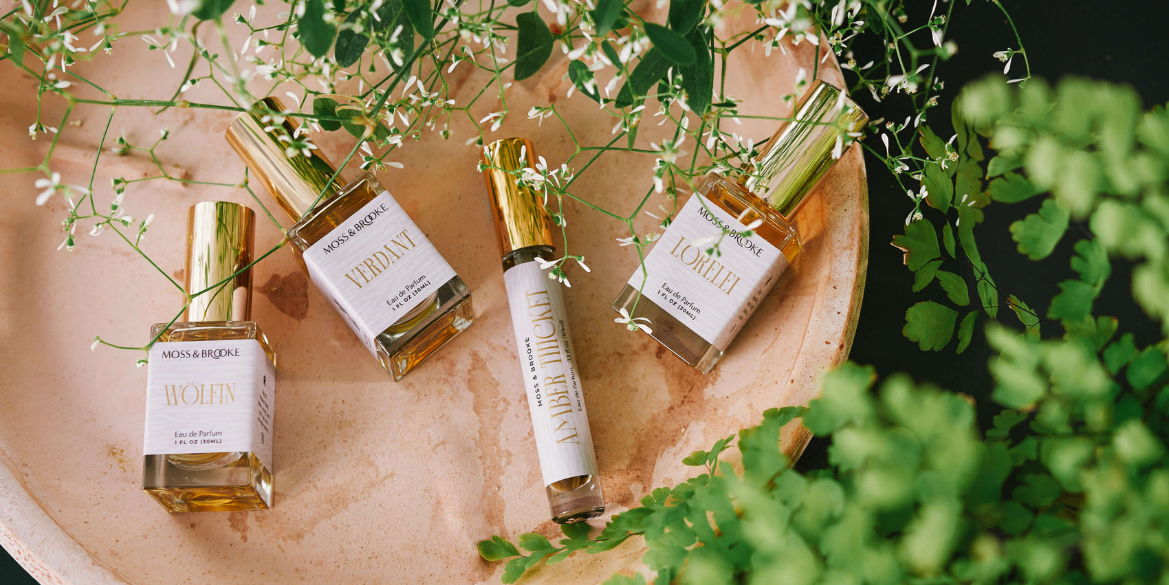 Image of the Moss & Brooke collection of botanical inspired natural perfumes with custom brand identity and unique brand design. The glass bottles sit on a terracotta dish in a dark ferny setting. 