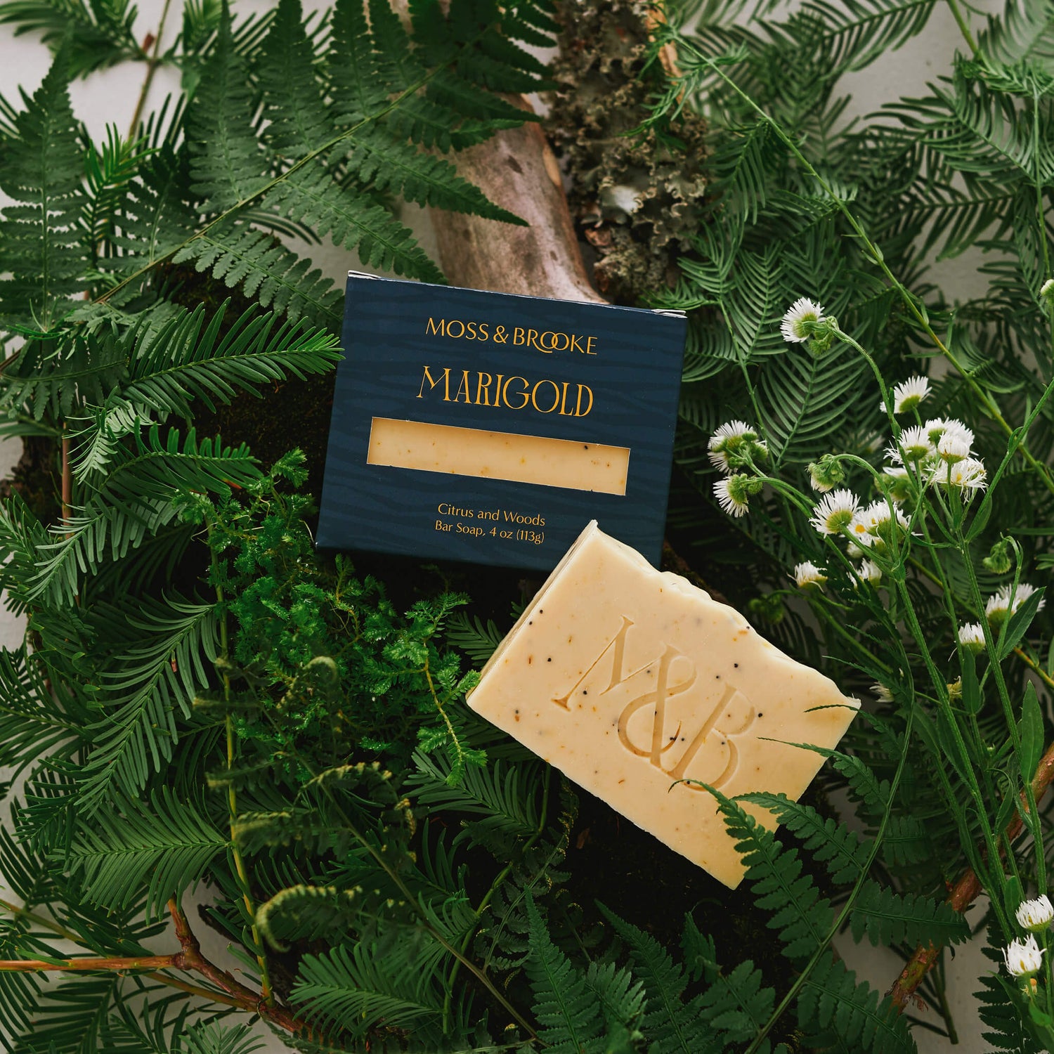 Perfume rebranding case study image of the Moss & Brooke custom soap box design and logo stamped soaps. The green box features gold detailing and lush forest detailing in the background. 