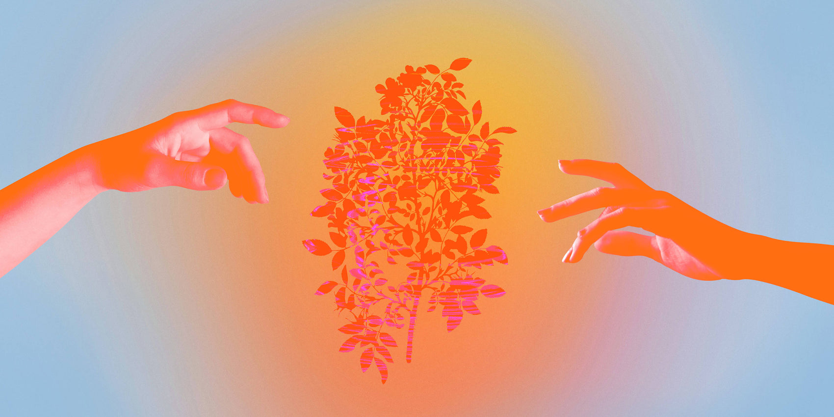 An ephemeral collage by Laura Richter brand designer. On a hazy blue and orange background, two orange hands reach out towards a graphic of an orange and pink branch of flowers. 